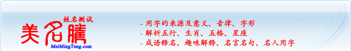 用字的來源及意義、音律、字形；五行、生肖、五格、星座；成語釋名、趣味解釋、名言名句、名人用字