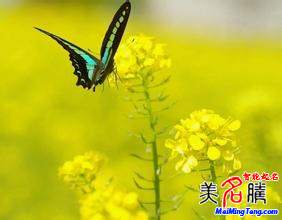 怎樣給自己起網(wǎng)名？