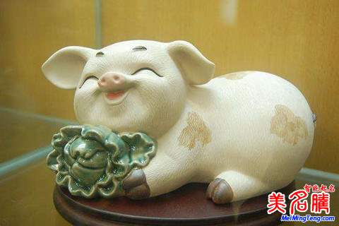 劉姓寶寶屬豬如何起名，劉姓寶寶起名