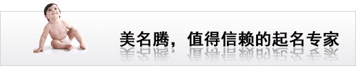 專家起名