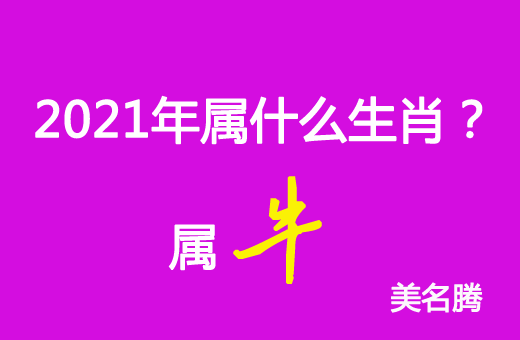 2021年屬什么生肖？2021年屬牛