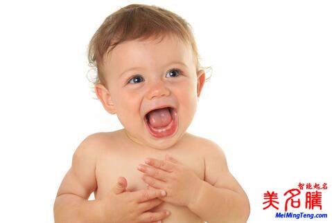 楊姓起名，楊姓屬狗男寶寶起名大全