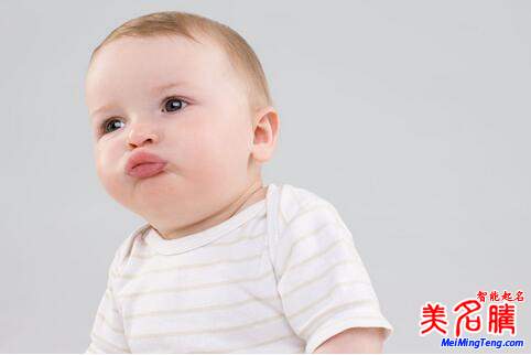 楊姓起名，楊姓屬狗男寶寶起名大全