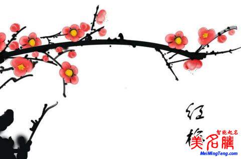 2018梅姓寶寶最詩意、最不凡的名字大全
